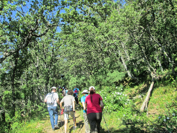 Camino del Papel Rascafría Camino del Papel Rascafría