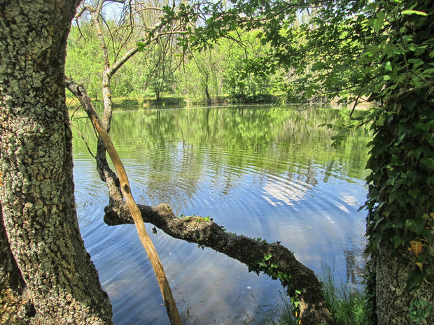 Lago Bosque Finlandés Rascafría Lago Bosque Finlandés Rascafría