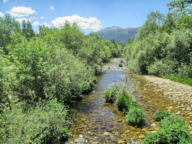 Río Lozoya Río Lozoya