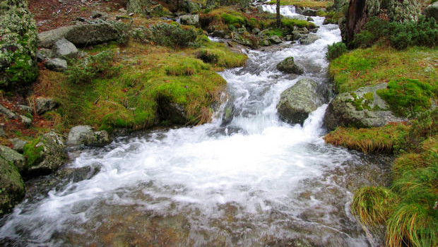 Arroyo de la Angostura