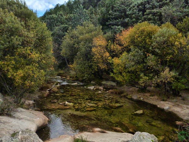 Río Manzanares Río Manzanares