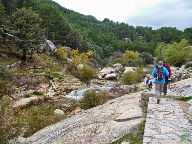 Río Manzanares Senderismo Río Manzanares Senderismo
