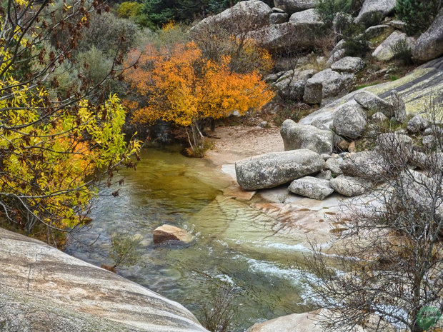 Río Manzanares Río Manzanares