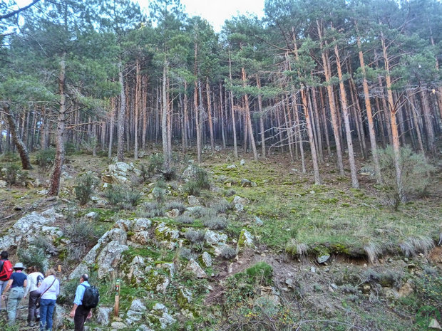 Senda del Hornillo Senda del Hornillo