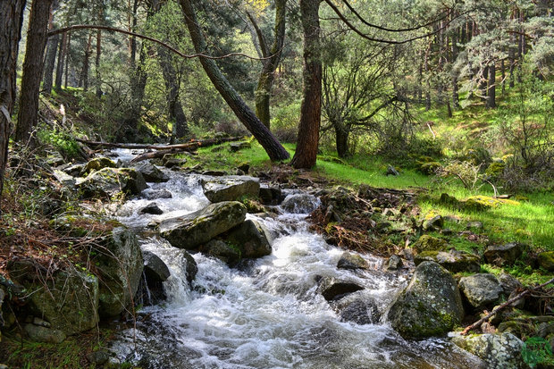 Arroyo del Hornillo Arroyo del Hornillo