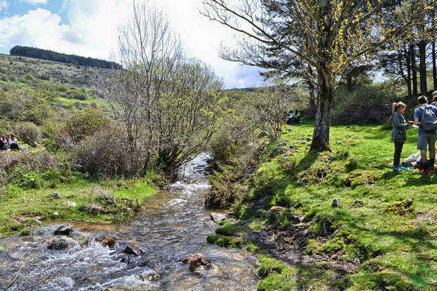 Arroyo del Hornillo Arroyo del Hornillo