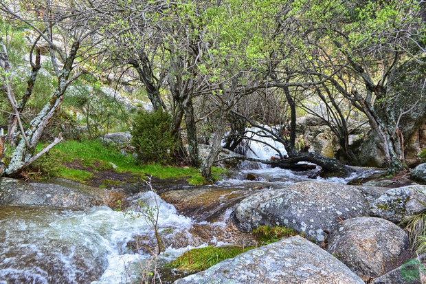 Arroyo del Hornillo Arroyo del Hornillo