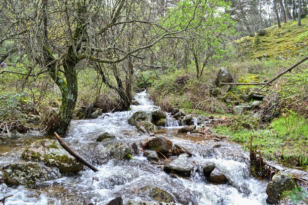Arroyo de Robledondo Arroyo de Robledondo