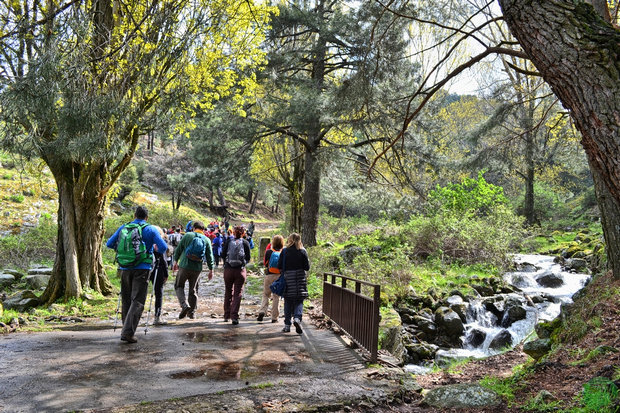 Puente Aceña Puente Aceña