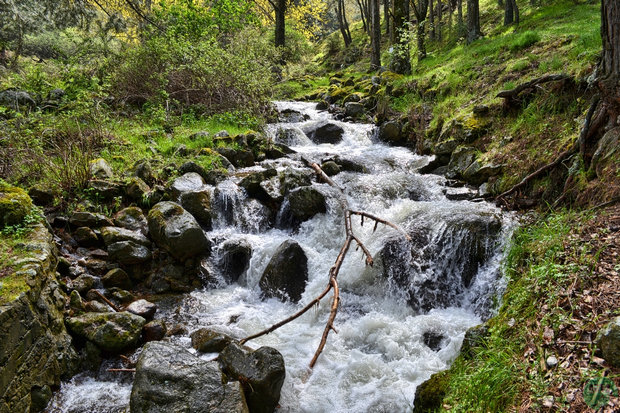 Río Aceña Río Aceña