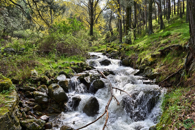 Río Aceña Río Aceña
