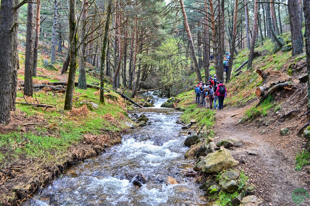 Senda del Hornillo Senda del Hornillo
